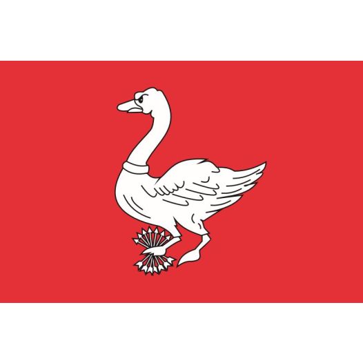 Vlag Landsmeer 70x100cm bootvlag