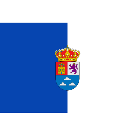 vlag Las Palmas 30x45cm bootvlag
