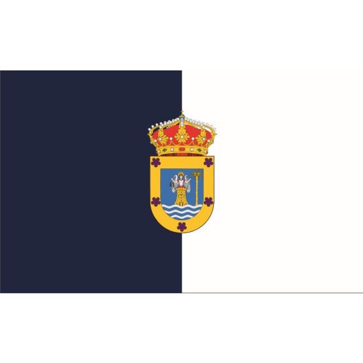 Vlag Las Palmas 50x75cm, grote gastenvlag