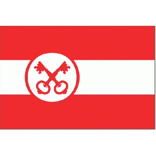 Vlag gemeente Leiden 30x45cm Leidse vlaggen