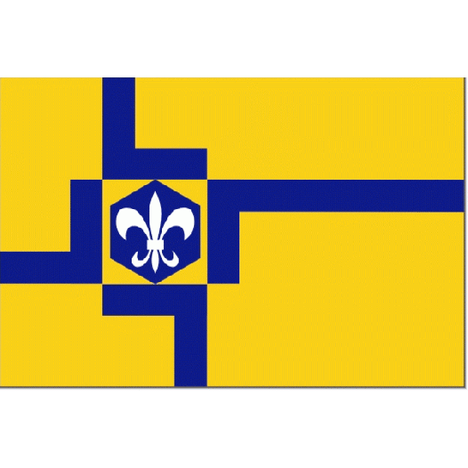 Vlag gemeente Lelystad 30x45cm bootvlag