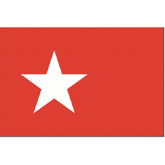 Vlag Maastricht 70x100cm bootvlag