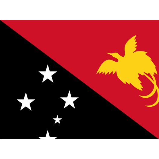 vlag Papoea Nieuw Guinea 30x45cm