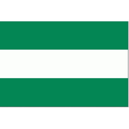Vlag gemeente Rotterdam | Rotterdamse vlaggen 30x45cm
