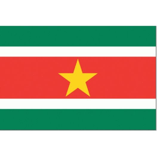 vlag Suriname 30x45cm Gastenvlag