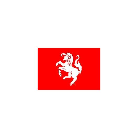 vlag Twentse Ros de vlag van Twente als cocktailprikker kaasprikkers