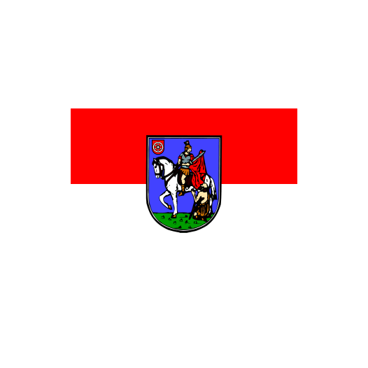Vlag Bingen am Rhein 100x150cm