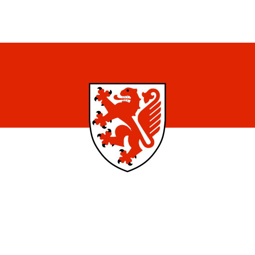 Vlag Braunschweig 100x150cm