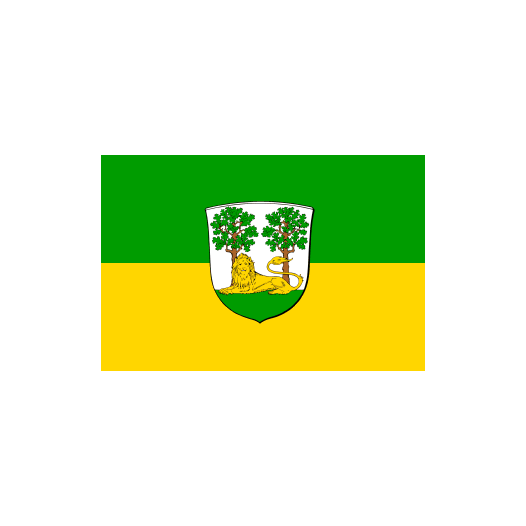 Vlag Burgdorf 150x225cm