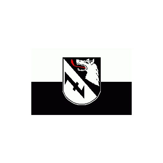 Vlag Burgwedel 150x225cm