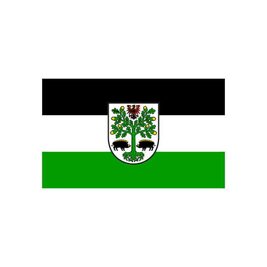 Vlag Eberswalde 150x225cm