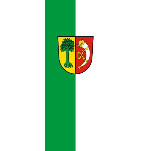 Vlag Friedrichshafen 150x225cm