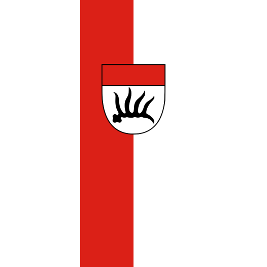 Vlag Göppingen 100x150cm