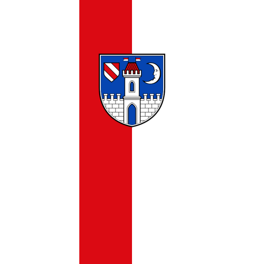 Vlag Glauchau 150x225cm