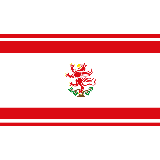 Vlag Greifswald 150x225cm