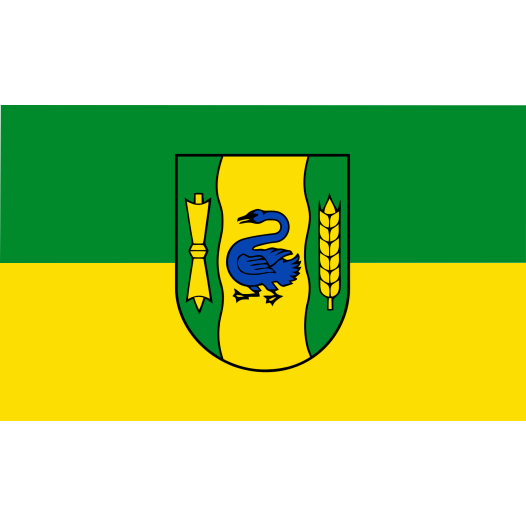 Vlag Gronau 200x300cm