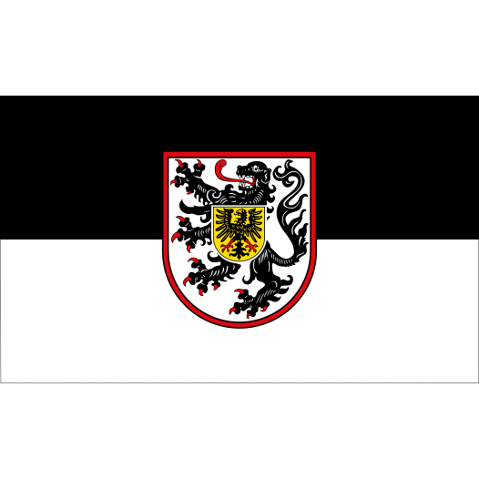 Vlag Landau in de Pfalz 100x150cm