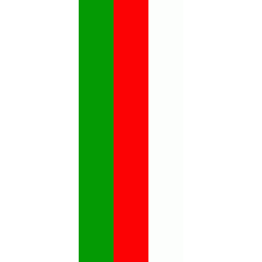 Vlag Landsberg am Lech 200x300cm