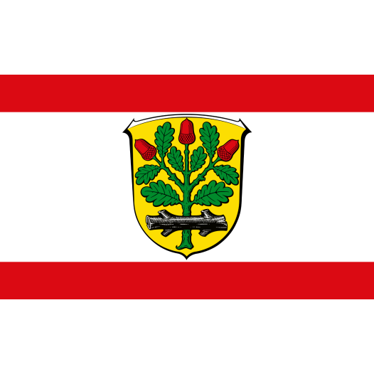 Vlag Langen 100x150cm