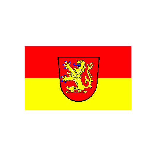 Vlag Langenhagen 200x300cm