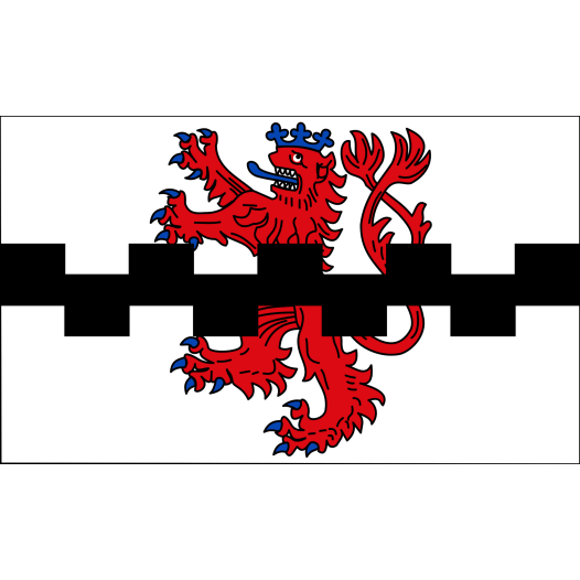 Vlag Leverkusen 200x300cm