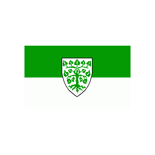 Vlag Lindau 200x300cm