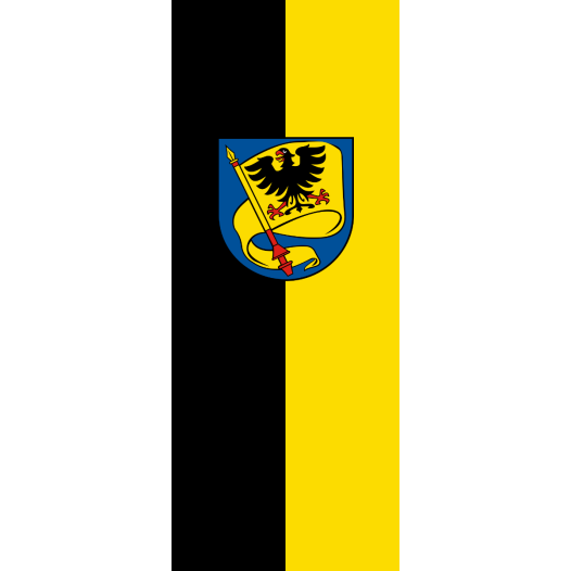Vlag Ludwigsburg 100x150cm