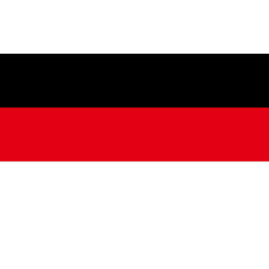 Vlag Memmingen 150x225cm