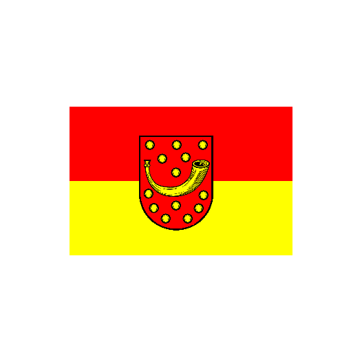 Vlag Nordhorn 100x150cm