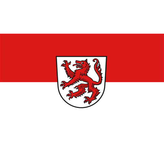 Vlag Passau 150x225cm
