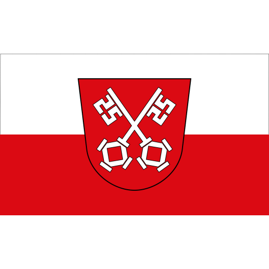 Vlag Regensburg 150x225cm