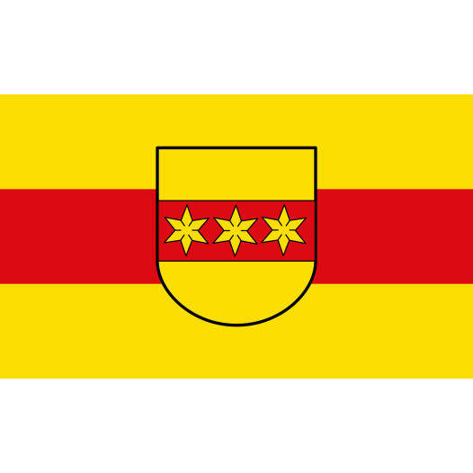 Vlag Rheine 200x300cm