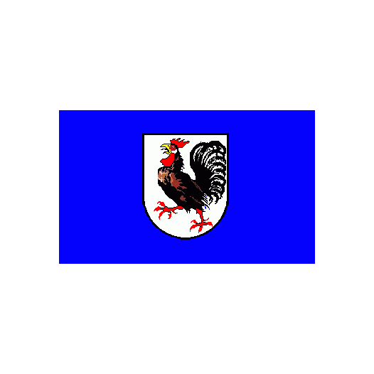 Vlag Seelze 150x225cm