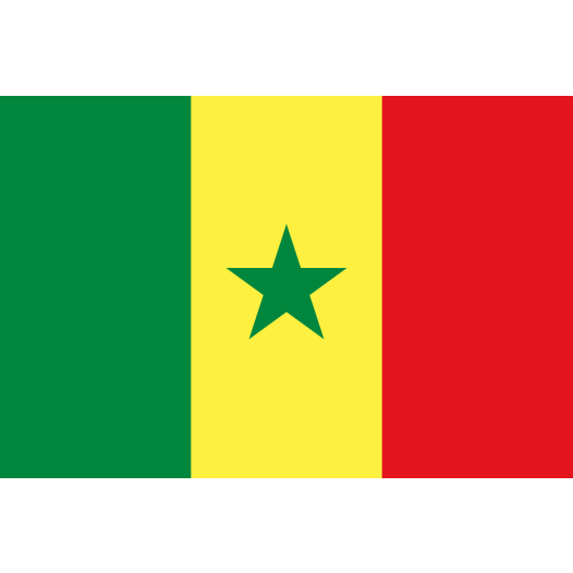 Vlag Senegal 225x350cm