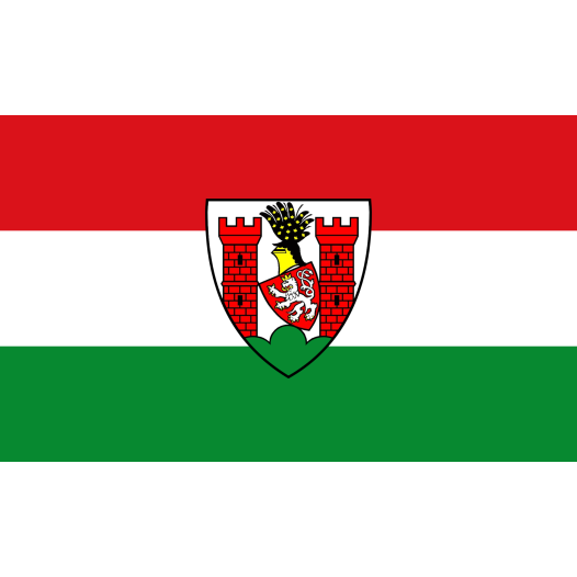 Vlag Spremberg 100x150cm