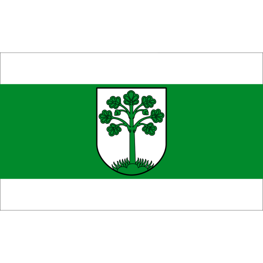 Vlag Telgte 100x150cm