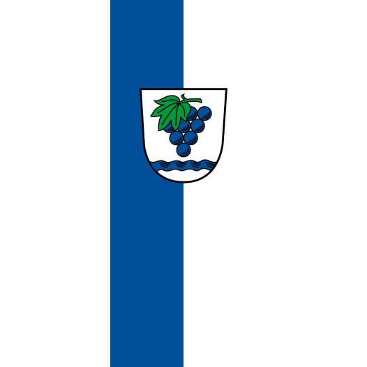 Vlag Weil am Rhein 100x150cm