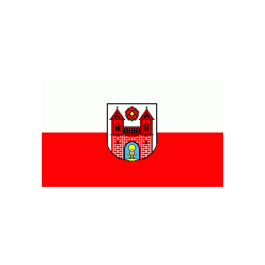 Vlag Wildeshausen 200x300cm