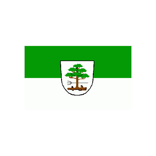 Vlag Zossen 200x300cm