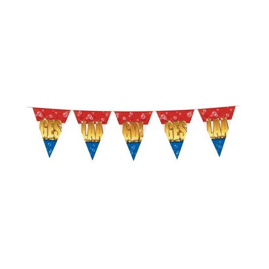 Vlaggenlijn Geslaagd 10m vlag Nederland met gouden letters