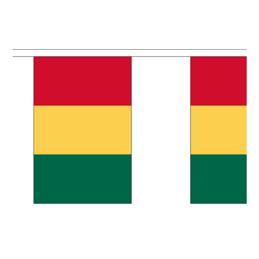 Vlaggenlijn Carnaval Limburg stof XL rood/geel/groen
