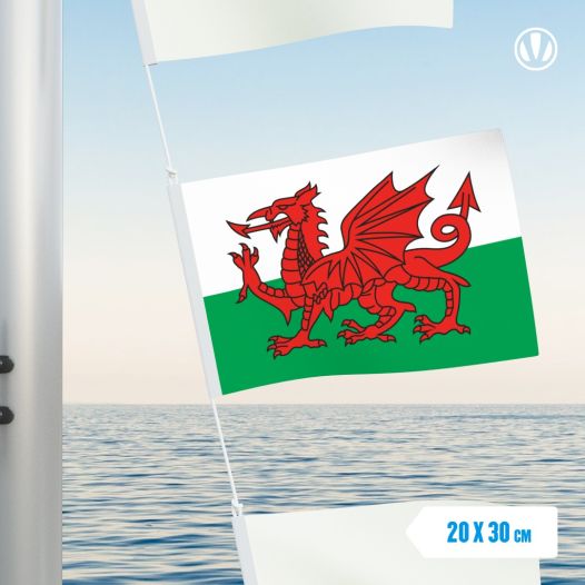 Vlaggetje Wales 20x30cm