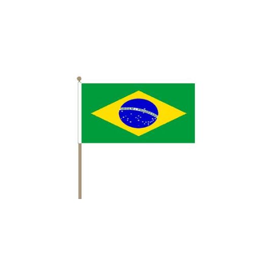 Zwaaivlag Brazilië, Braziliaanse fanvlag 30x45cm, stoklengte 60cm