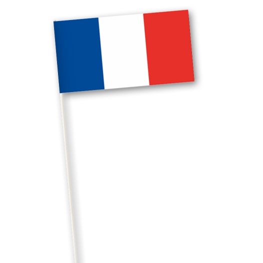 Zwaaivlag Frankrijk 11x21