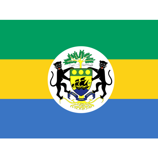 Vlag Gabon met wapen 150x225cm