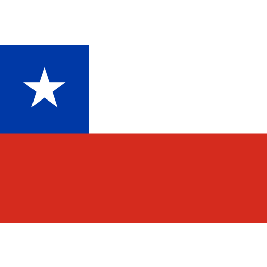 Vlag Chili 30x45cm