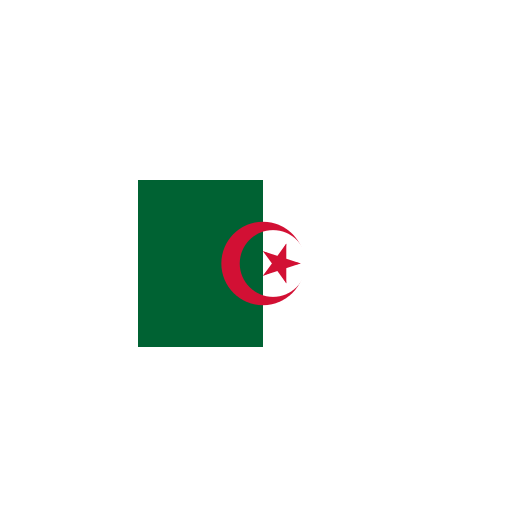 vlag Algerije 30x45cm