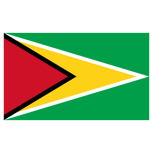 vlag Guyana 50x75cm