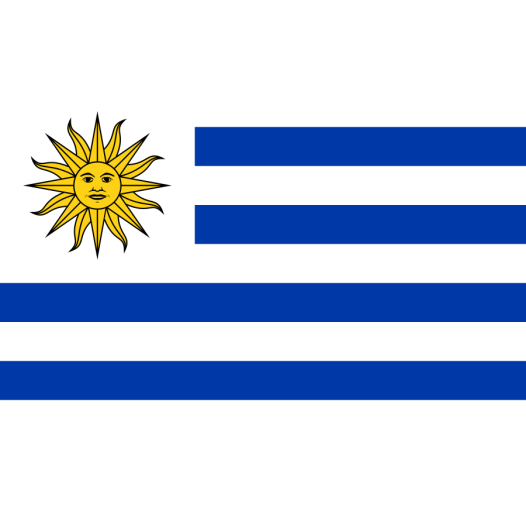 Vlag Uruguay 60x90cm | Best Value