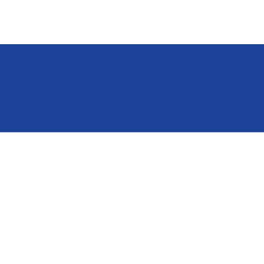 Vlag Assen 50x75cm 